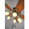 Globo JERRY fan chrome, stainless steel, matt nickel, 5-light sources