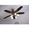 Globo JERRY fan chrome, stainless steel, matt nickel, 5-light sources