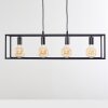 FLAMBEAU Pendant Light black, 4-light sources