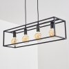 FLAMBEAU Pendant Light black, 4-light sources