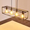 FLAMBEAU Pendant Light black, 4-light sources