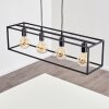 FLAMBEAU Pendant Light black, 4-light sources