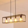 FLAMBEAU Pendant Light black, 4-light sources