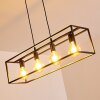 FLAMBEAU Pendant Light black, 4-light sources