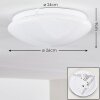 Brighton STAR Ceiling light LED white, 1-light source, Remote control, Colour changer