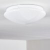 Brighton STAR Ceiling light LED white, 1-light source, Remote control, Colour changer