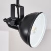 Tina Ceiling Light black, 2-light sources