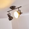 Tina Ceiling Light black, 2-light sources