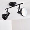 Tina Ceiling Light black, 2-light sources