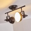 Tina Ceiling Light black, 2-light sources