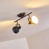Tina Ceiling Light black, 2-light sources