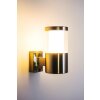 Leon exterior wall luminaire LED stainless steel, 1-light source