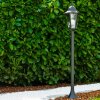 Bristol outdoor floor lamp black, transparent, clear, 1-light source