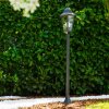 Bristol outdoor floor lamp black, transparent, clear, 1-light source