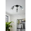 Eglo FORESTBURG Ceiling Light black, 3-light sources