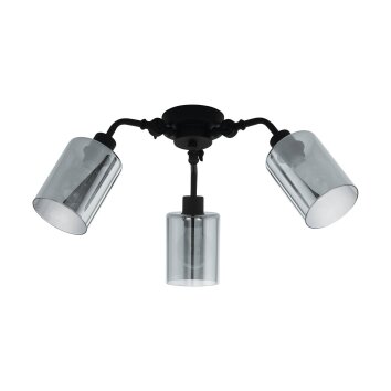 Eglo FORESTBURG Ceiling Light black, 3-light sources