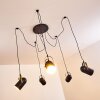 Riex Pendant Light black-gold, 5-light sources