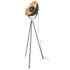Floor Lamp By Rydens Captain black, 1-light source