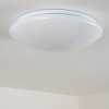FOXES Ceiling Light LED white, 1-light source, Remote control, Colour changer
