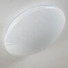 FOXES Ceiling Light LED white, 1-light source, Remote control, Colour changer