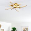 GROSSARL Ceiling Light LED gold, 4-light sources