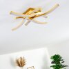 GROSSARL Ceiling Light LED gold, 4-light sources