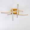 GROSSARL Ceiling Light LED gold, 4-light sources