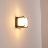 ARMOR Outdoor Wall Light LED anthracite, 1-light source