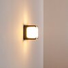 ARMOR Outdoor Wall Light LED anthracite, 1-light source