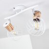 Koler Ceiling Light white, 2-light sources