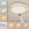 PARRITA Ceiling light LED white, 1-light source, Remote control, Colour changer