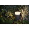 Philips HUE AMBIANCE WHITE & COLOR CALLA Pedestal light, extension set LED black, 1-light source, Colour changer