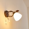 Peccia Wall Light rust-coloured, 1-light source