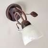Peccia Wall Light rust-coloured, 1-light source