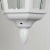 ESTELI Outdoor Wall Light white, 1-light source