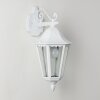 ESTELI Outdoor Wall Light white, 1-light source