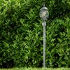 Lentua outdoor Floor Lamp green, black, 1-light source, Motion sensor
