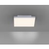 Paul Neuhaus FRAMELESS Ceiling Light LED white, 1-light source, Remote control