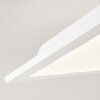 ANTRIA Ceiling Light LED white, 1-light source