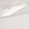 ANTRIA Ceiling Light LED white, 1-light source