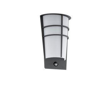 Eglo BREGANZO 1 Wall Light LED anthracite, 2-light sources, Motion sensor