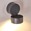 RIPEN Outdoor Wall Light LED anthracite, 1-light source