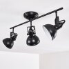 Tina Ceiling Light black, 3-light sources