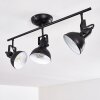 Tina Ceiling Light black, 3-light sources
