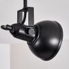 Tina Ceiling Light black, 3-light sources