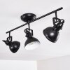 Tina Ceiling Light black, 3-light sources