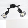 Baripada Ceiling Light black, 2-light sources