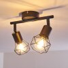 Baripada Ceiling Light black, 2-light sources