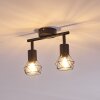Baripada Ceiling Light black, 2-light sources