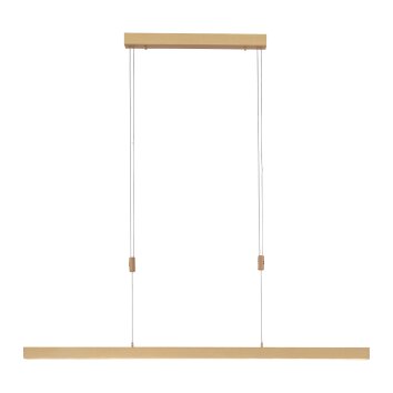 Pendant Light Paul Neuhaus ADRIANA LED brass, 3-light sources